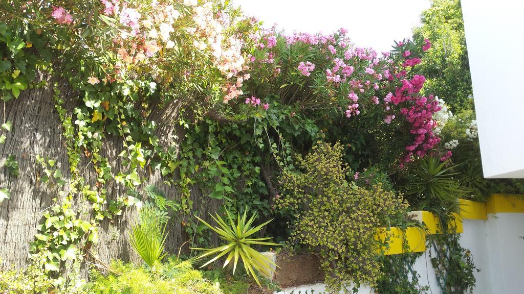 La Gaspara'S Loft Estepona Exterior photo
